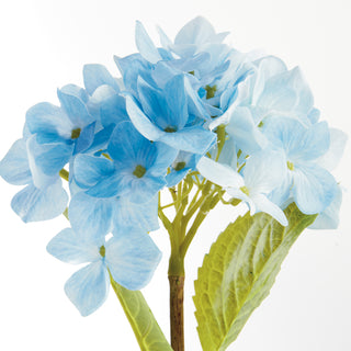 HYDRANGEA STEMS 18", SET OF 6