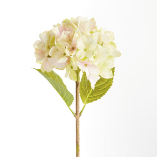 HYDRANGEA STEMS 18", SET OF 6