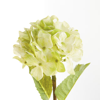 HYDRANGEA STEMS 18", SET OF 6
