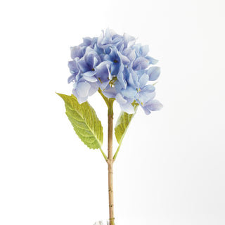 HYDRANGEA STEMS 18", SET OF 6