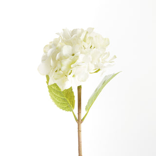 HYDRANGEA STEMS 18", SET OF 6