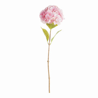 MOPHEAD HYDRANGEA STEMS 30.5"