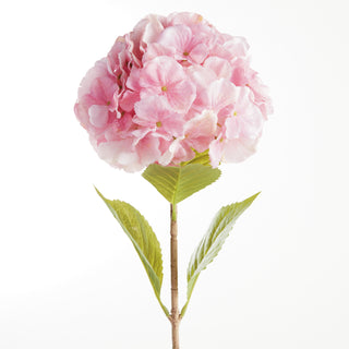 MOPHEAD HYDRANGEA STEMS 30.5"