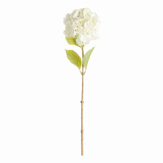 MOPHEAD HYDRANGEA STEMS 30.5"