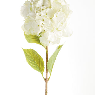 MOPHEAD HYDRANGEA STEMS 30.5"