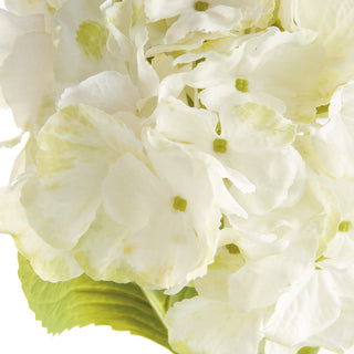 MOPHEAD HYDRANGEA STEMS 30.5"