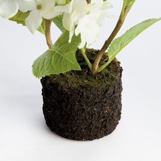 HYDRANGEA DROP-IN 18"