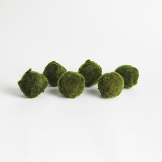MOSS ORBS 4" ST/6
