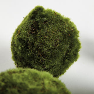MOSS ORBS 4" ST/6