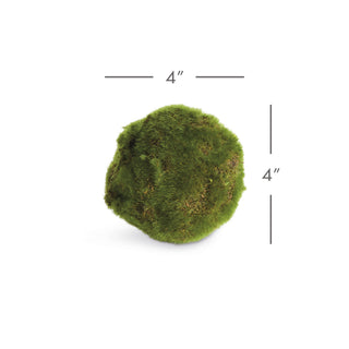 MOSS ORBS 4" ST/6