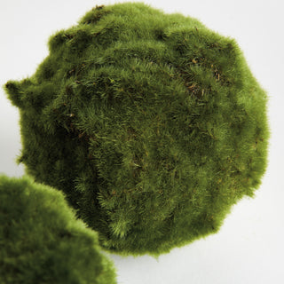 MOSS ORBS 5" ST/3