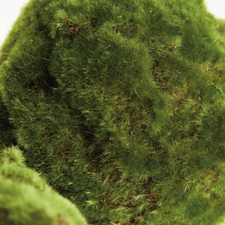 MOSS ORBS 7" ST/3