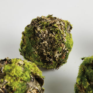 MOSSY LICHEN ORBS 3.5" ST/6
