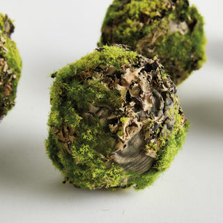 MOSSY LICHEN ORBS 3.5" ST/6