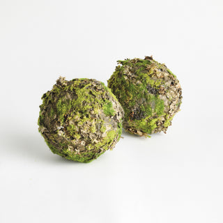 MOSSY LICHEN ORBS 8" ST/2