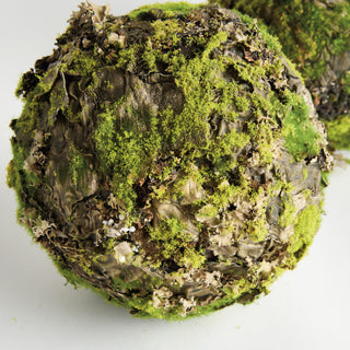 MOSSY LICHEN ORBS 8" ST/2