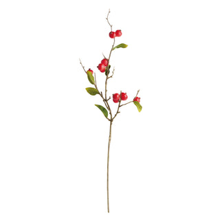 CRABAPPLE STEMS ST/6