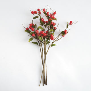 CRABAPPLE STEMS ST/6