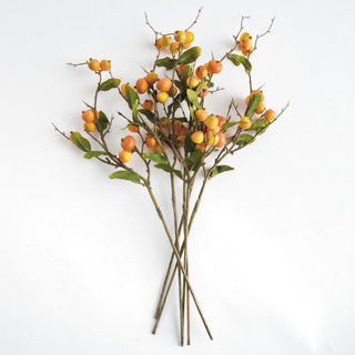 CRABAPPLE STEMS ST/6