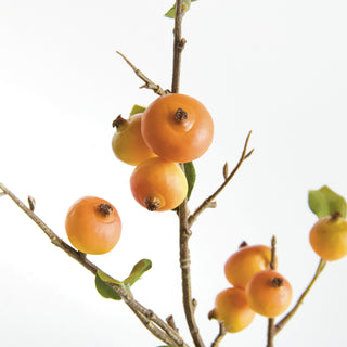 CRABAPPLE STEMS ST/6