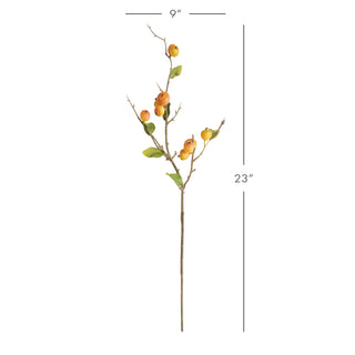 CRABAPPLE STEMS ST/6