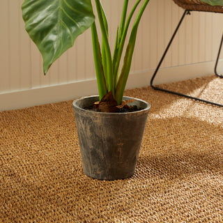 ALOCASIA POTTED 42"
