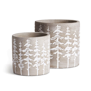 EVERGREEN POTS, SET OF 2