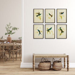 HUMMINGBIRD PRINTS, SET OF 6