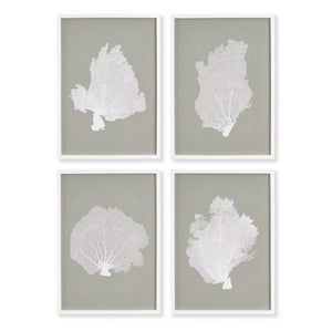 CORAL FANS STUDY, SET OF 4