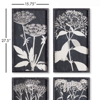 MONOCHROME QUEEN ANNE'S LACE PRINTS, SET OF 4