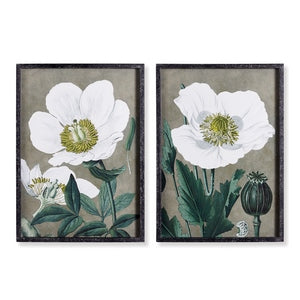 POPPY PRINTS, SET OF 2