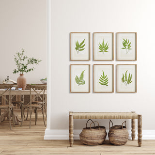 FOREST GREENERY PRINTS, SET OF 6