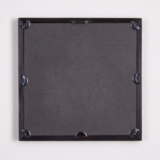 PROTEA PETITE PRINTS, SET OF 4