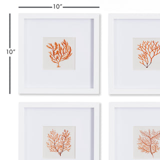 BRANCH CORAL PETITE PRINTS, SET OF 4
