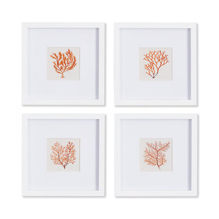 BRANCH CORAL PETITE PRINTS, SET OF 4