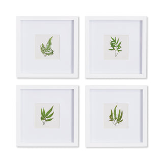 FOREST GREENERY PETITE PRINTS, SET OF 4