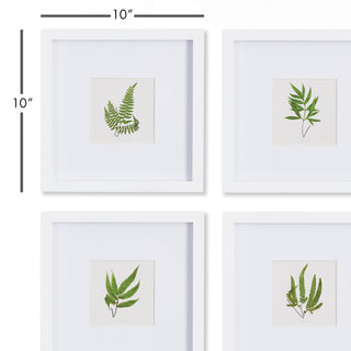 FOREST GREENERY PETITE PRINTS, SET OF 4