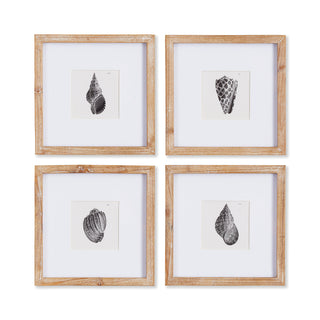 SEASHELL PETITE PRINTS, SET OF 4