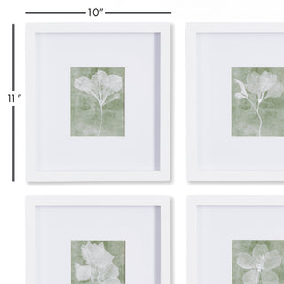 TRANSLUCENT FLORAL PETITE PRINTS, SET OF 4
