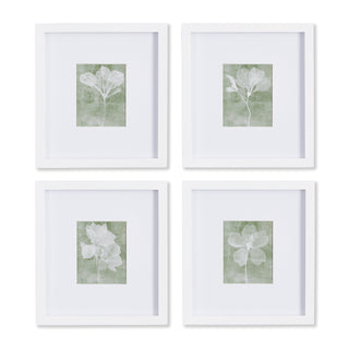 TRANSLUCENT FLORAL PETITE PRINTS, SET OF 4