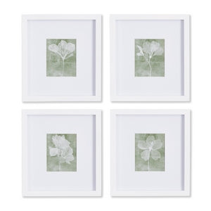 TRANSLUCENT FLORAL PETITE PRINTS, SET OF 4