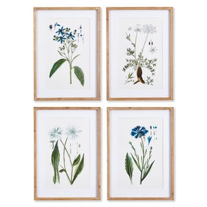 MOUNTAIN BOTANICAL PRINTS, SET OF 4