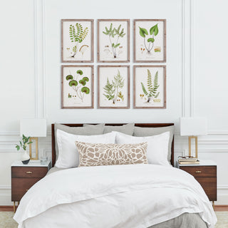 SHADE GARDEN STUDY, SET OF 6