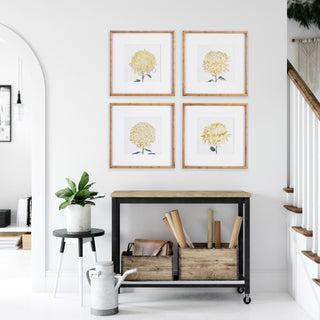 CHRYSANTHEMUM PRINTS, SET OF 4