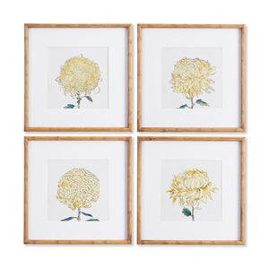 CHRYSANTHEMUM PRINTS, SET OF 4