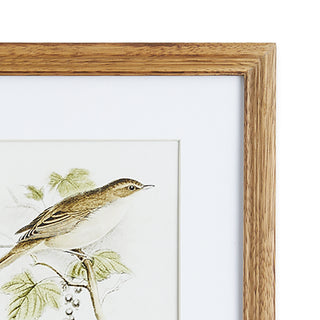 PERCHING BIRD STUDY PETITE, SET OF 4