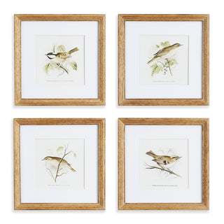 PERCHING BIRD STUDY PETITE, SET OF 4