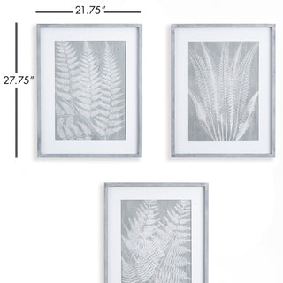 FERN FROND PRINTS, SET OF 3