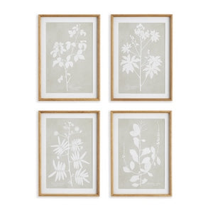 FOLIAGE STUDY, SET OF 4