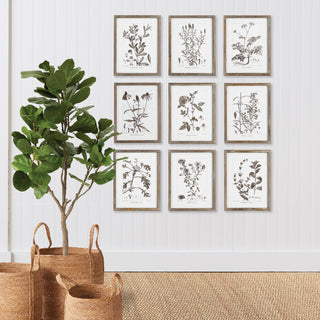 RUSTIC FOLIAGE STUDY, SET OF 9